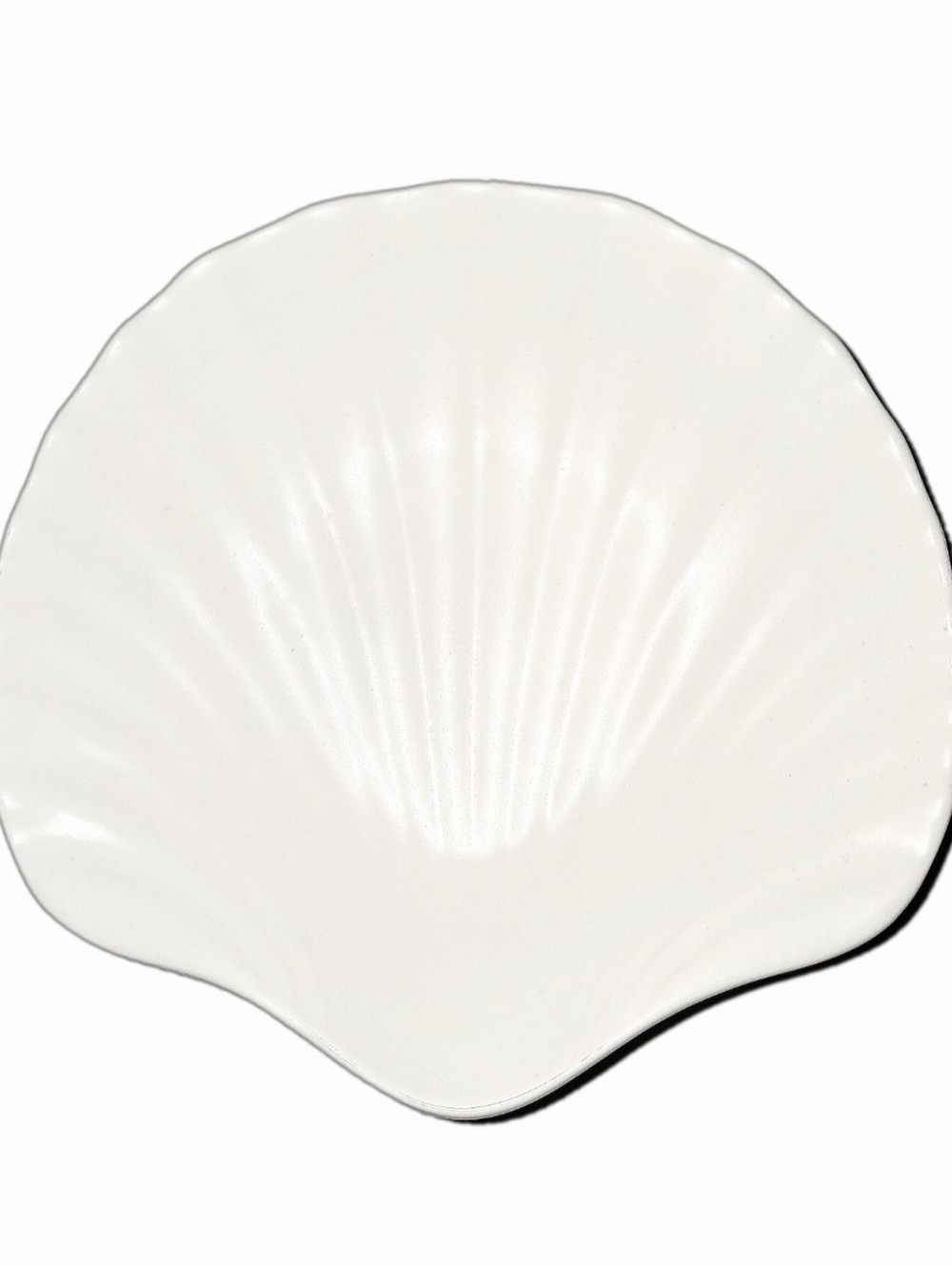 White Seashell Shaped Trinket, Rings, Keys & Jewelry Versatile Dish
